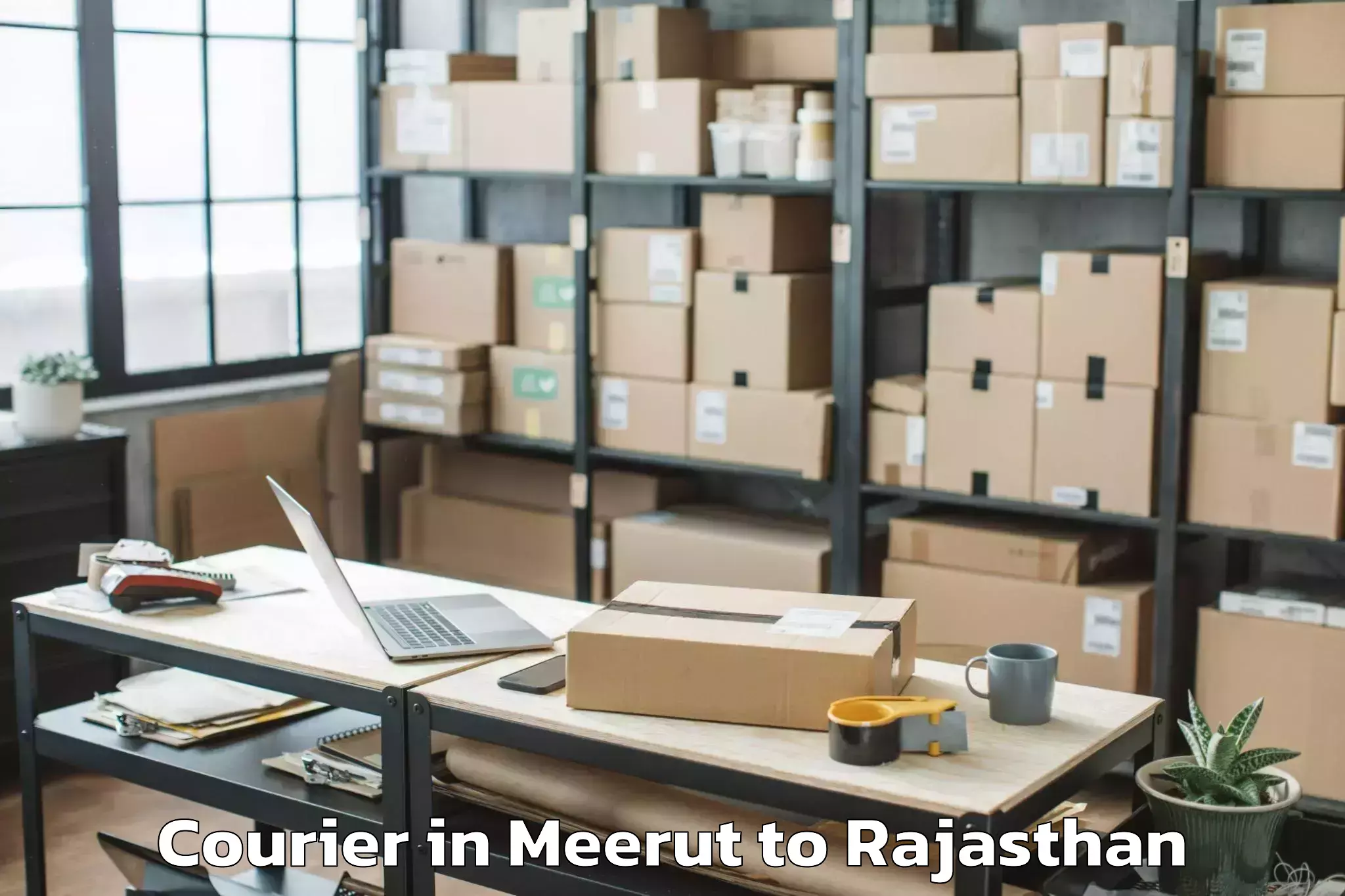 Expert Meerut to Pipar Courier